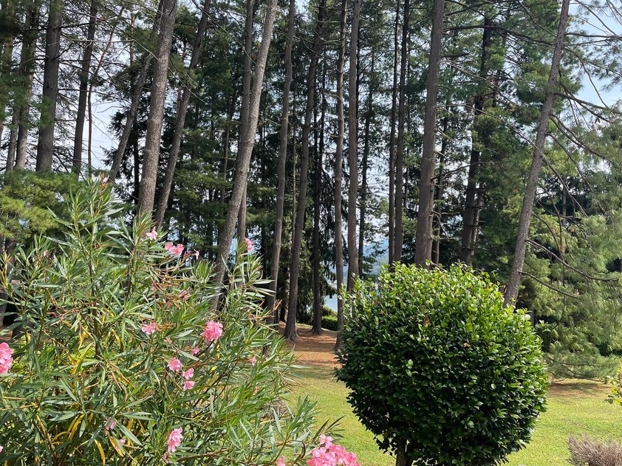 Villa Mario - Casa Vacanze Lavena Ponte Tresa Bagian luar foto
